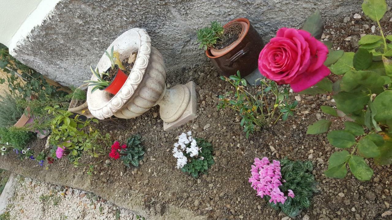 B&B In Sabina Poggio Nativo Bagian luar foto